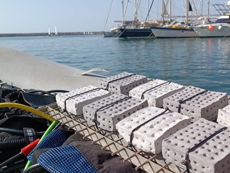 Ocean Ecostructures crea un biomaterial innovador per regenerar els ecosistemes marins