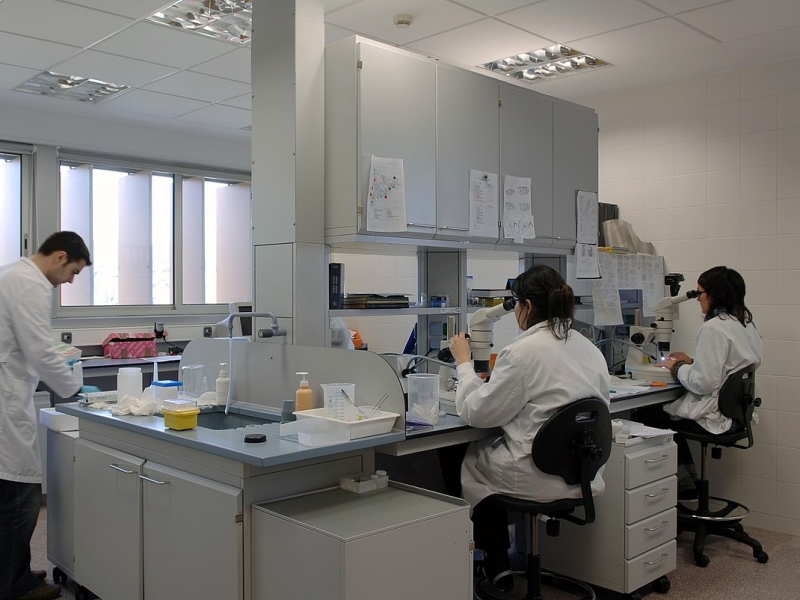 Catalunya proposa crear un ‘hub’ de medicina personalitzada amb els fons europeus